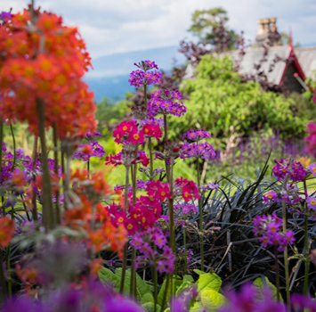 Alsager Flowers Outdoor Plants