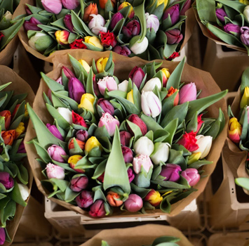 Alsager Flowers Seasonal Plants