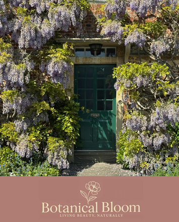 Wisteria Floribunda