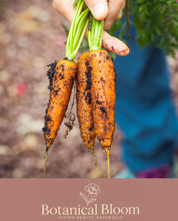 Seasonal Plants and Veg at Alsager and Nantwich Markets