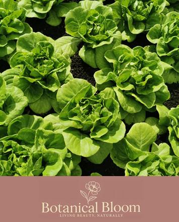 Seasonal Plants and Veg at Alsager and Nantwich Markets
